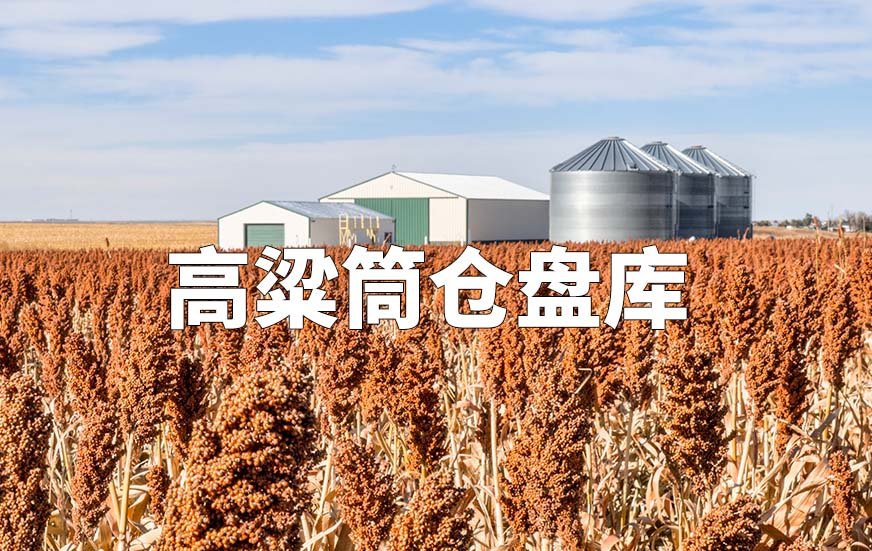 高粱筒仓盘库