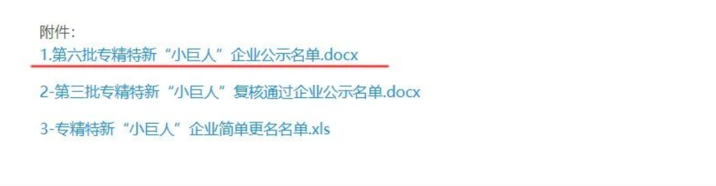 锐达仪表荣获小巨人1